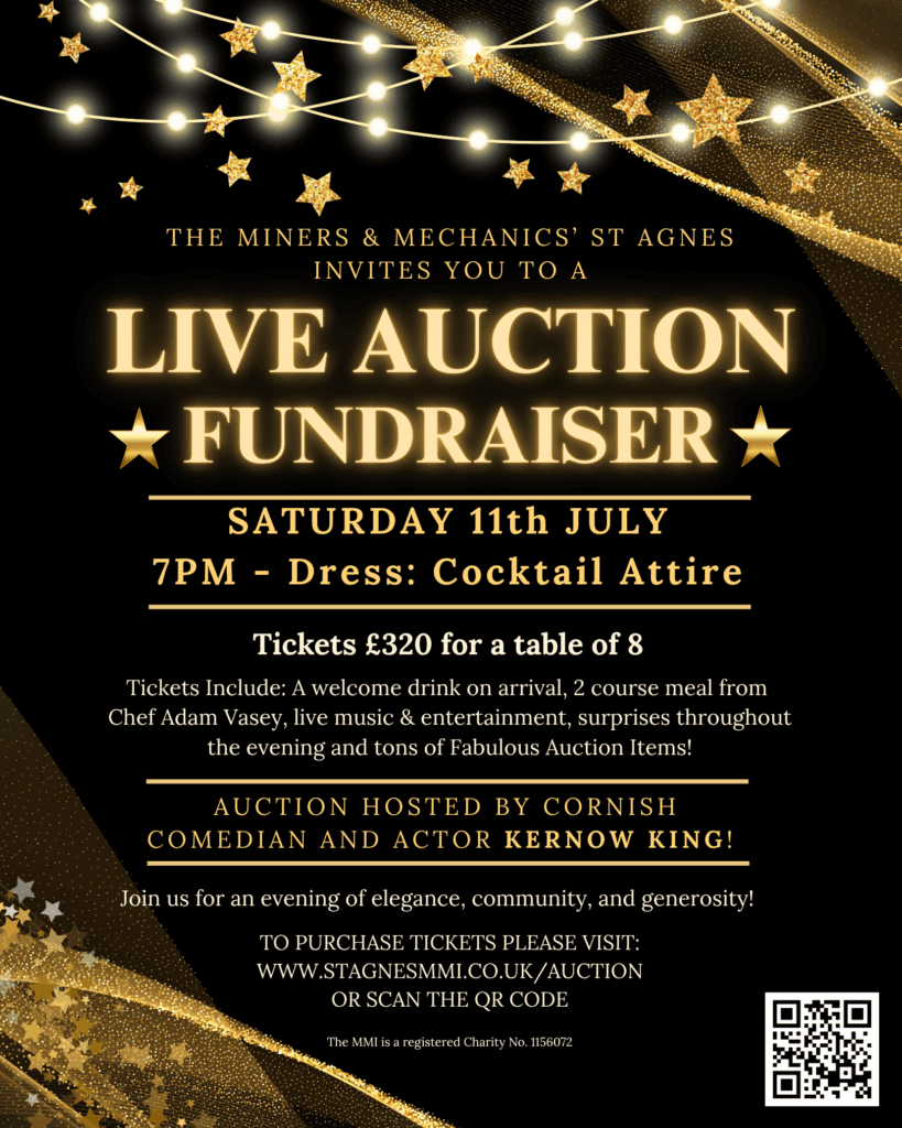 MMI Auction socials size